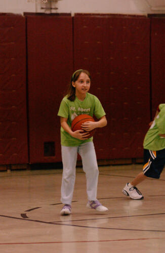 2006basketball (10)